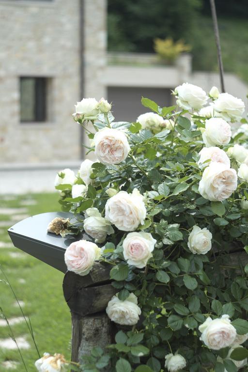 Agriturismo Casamela Paderno del Grappa المظهر الخارجي الصورة