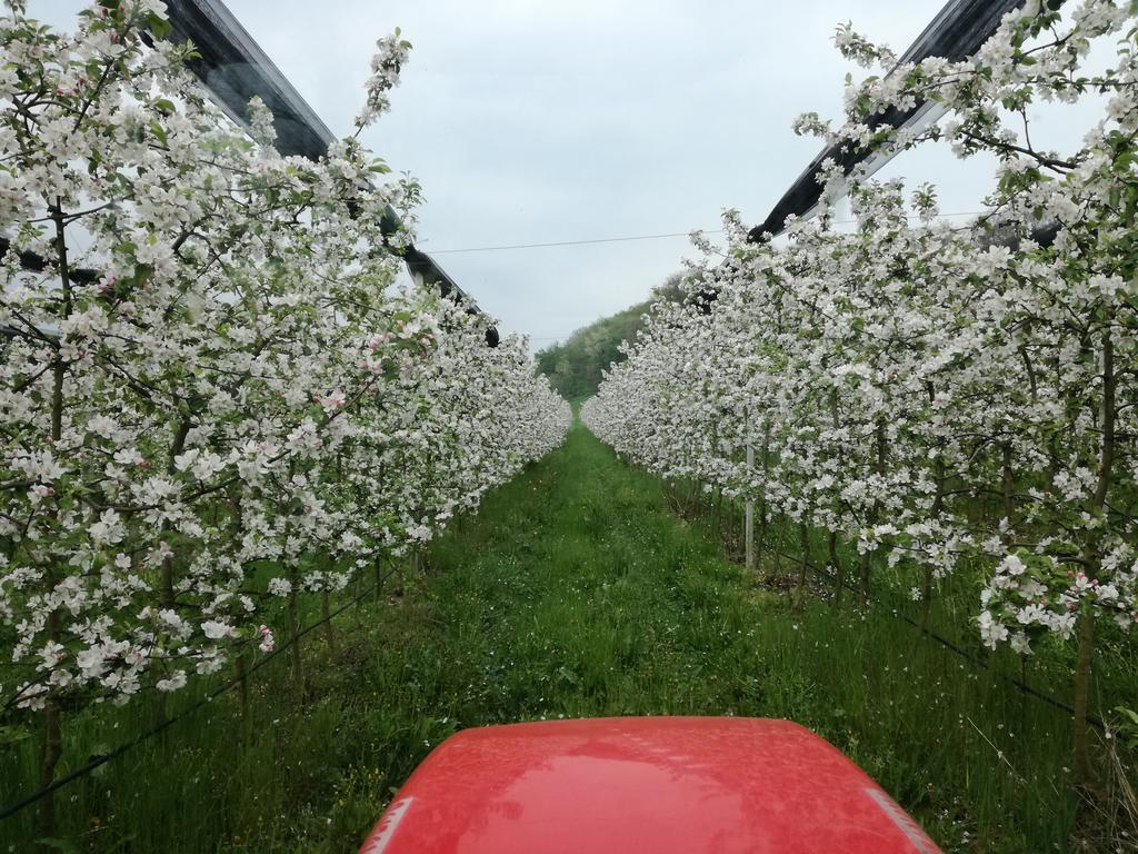 Agriturismo Casamela Paderno del Grappa المظهر الخارجي الصورة