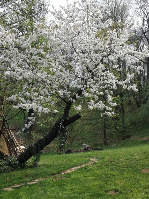 Agriturismo Casamela Paderno del Grappa المظهر الخارجي الصورة